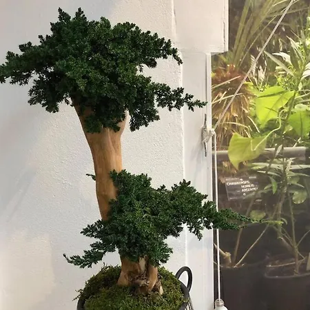 Διαμέρισμα Le Little Garden *